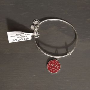 Alex & Ani bangle